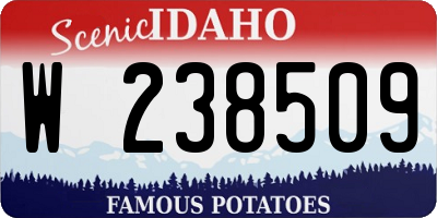 ID license plate W238509