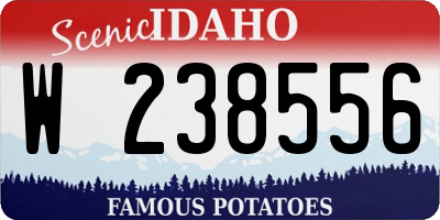 ID license plate W238556