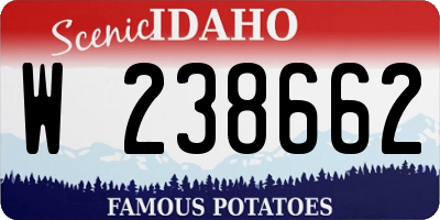 ID license plate W238662