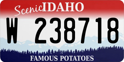 ID license plate W238718
