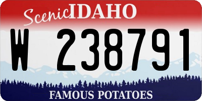 ID license plate W238791