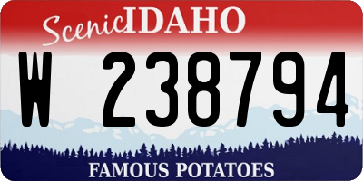 ID license plate W238794