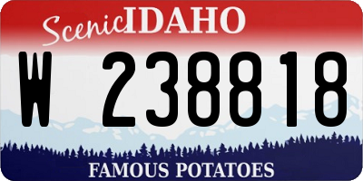 ID license plate W238818