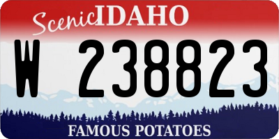 ID license plate W238823