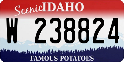 ID license plate W238824
