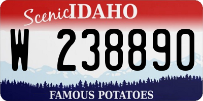 ID license plate W238890