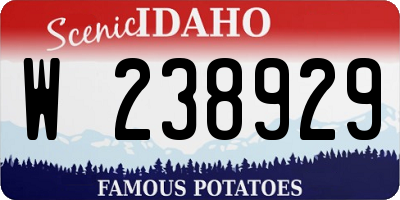 ID license plate W238929