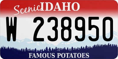 ID license plate W238950