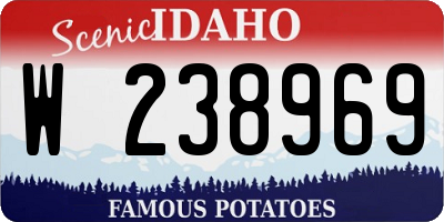 ID license plate W238969