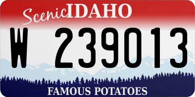 ID license plate W239013