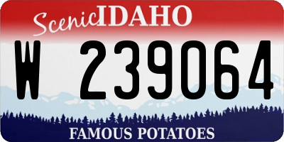 ID license plate W239064