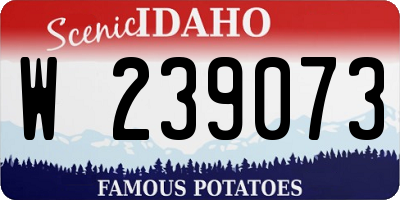 ID license plate W239073