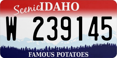 ID license plate W239145
