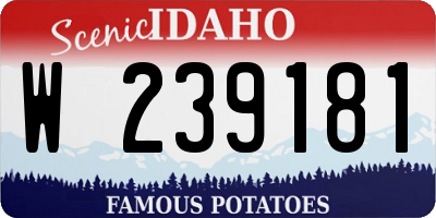 ID license plate W239181