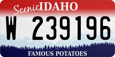 ID license plate W239196
