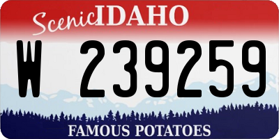 ID license plate W239259