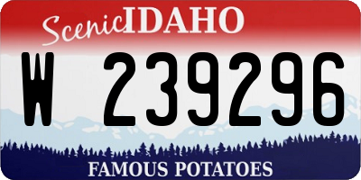 ID license plate W239296