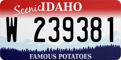 ID license plate W239381
