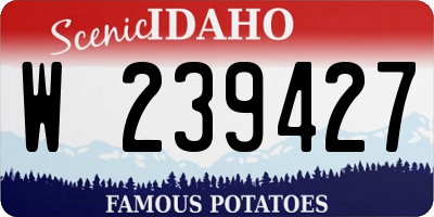 ID license plate W239427