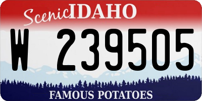 ID license plate W239505
