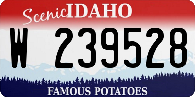 ID license plate W239528