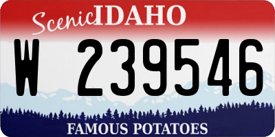 ID license plate W239546