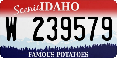 ID license plate W239579