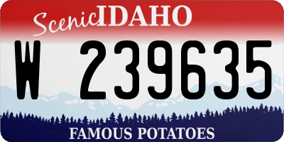 ID license plate W239635