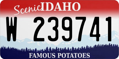 ID license plate W239741