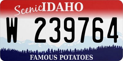 ID license plate W239764