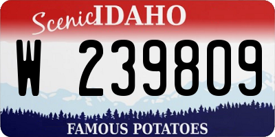 ID license plate W239809