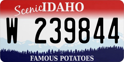 ID license plate W239844