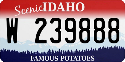 ID license plate W239888