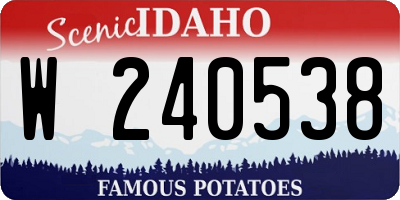 ID license plate W240538
