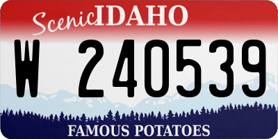 ID license plate W240539