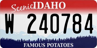 ID license plate W240784