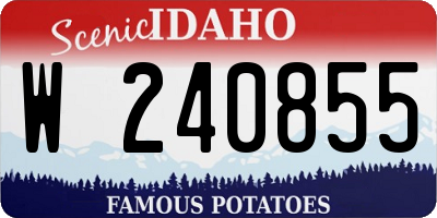 ID license plate W240855