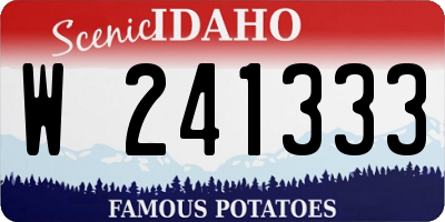 ID license plate W241333