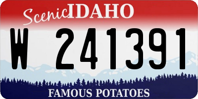 ID license plate W241391