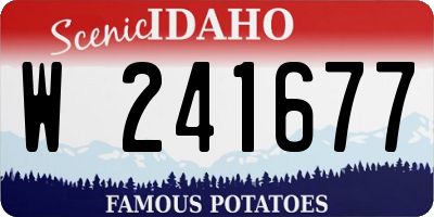 ID license plate W241677