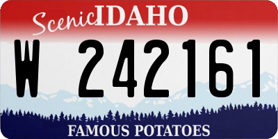 ID license plate W242161