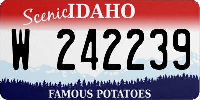 ID license plate W242239