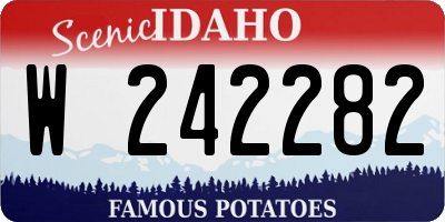 ID license plate W242282