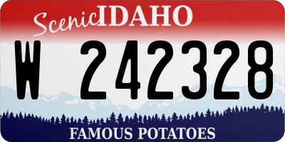ID license plate W242328