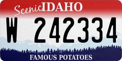 ID license plate W242334