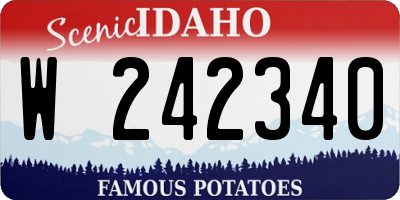 ID license plate W242340