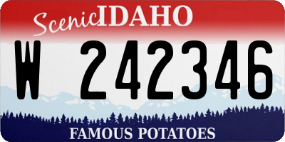 ID license plate W242346