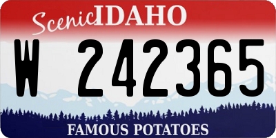 ID license plate W242365