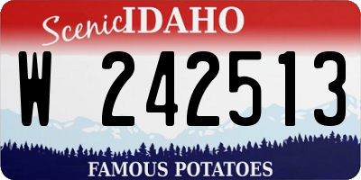 ID license plate W242513