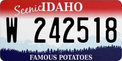 ID license plate W242518